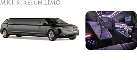 Travel Trackers luxury sight seeing stretch limo